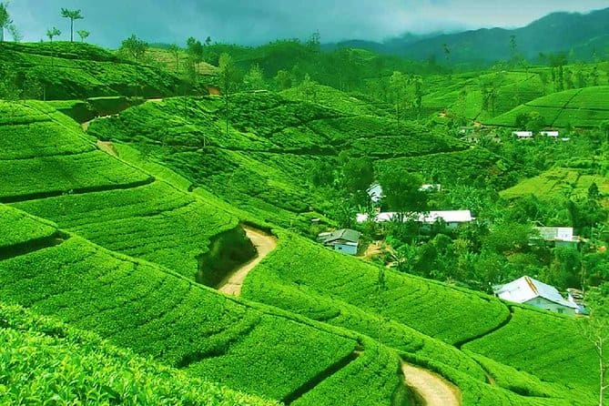Sri Lanka
